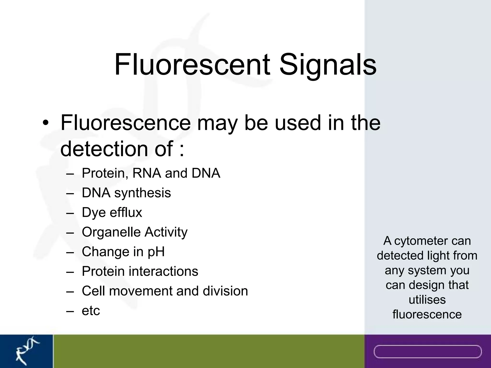 Fluorescent Signals
• Fluorescence may be used in the
  detection of :
  –   Protein, RNA and DNA
  –   DNA synthesis
  –   Dye efflux
  –   Organelle Activity
                                    A cytometer can
  –   Change in pH                 detected light from
  –   Protein interactions          any system you
                                    can design that
  –   Cell movement and division
                                         utilises
  –   etc                             fluorescence
 