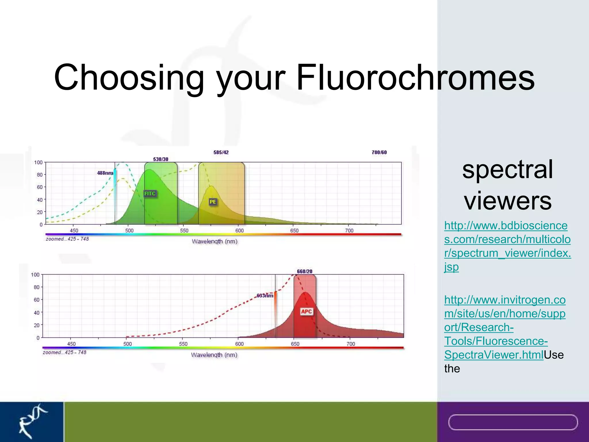 Choosing your Fluorochromes

                        spectral
                        viewers
                     http://www.bdbioscience
                     s.com/research/multicolo
                     r/spectrum_viewer/index.
                     jsp

                     http://www.invitrogen.co
                     m/site/us/en/home/supp
                     ort/Research-
                     Tools/Fluorescence-
                     SpectraViewer.htmlUse
                     the
 