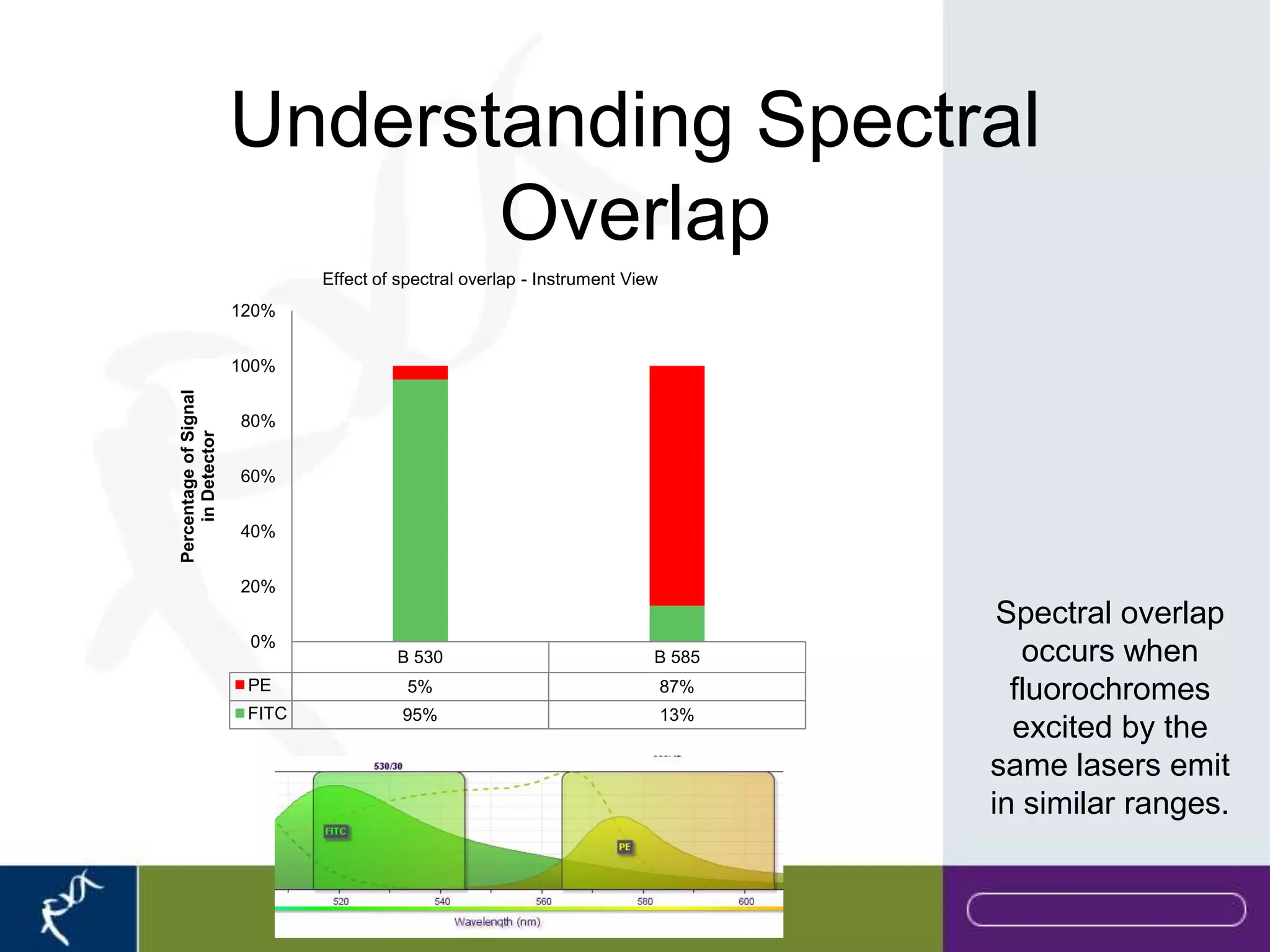 Understanding Spectral
                              Overlap
                               Effect of spectral overlap - Instrument View
                       120%


                       100%
Percentage of Signal




                       80%
    in Detector




                       60%


                       40%


                       20%
                                                                                     Spectral overlap
                        0%
                                        B 530                             B 585        occurs when
                        PE                5%                                  87%     fluorochromes
                        FITC             95%                                  13%
                                                                                      excited by the
                                                                                    same lasers emit
                                                                                    in similar ranges.
 