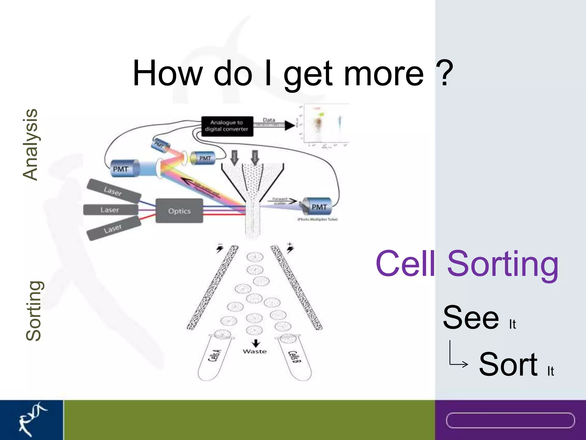 How do I get more ?
Analysis




                         Cell Sorting
 Sorting




                             See It


                               Sort   It
 
