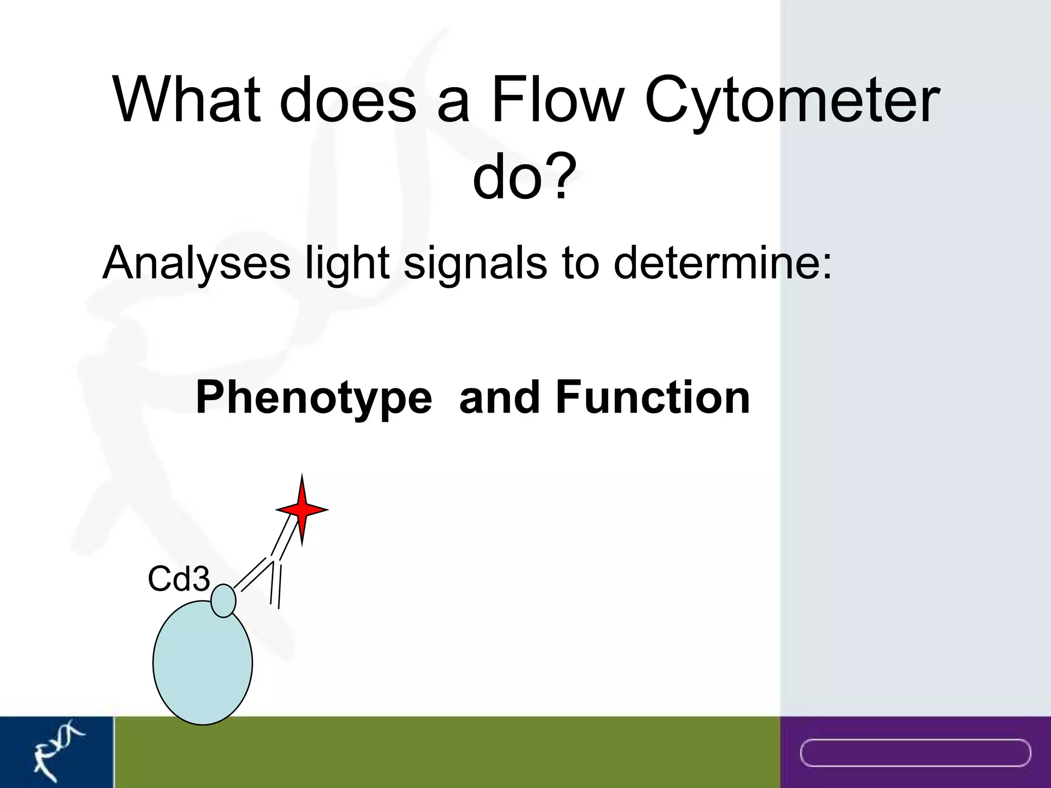 What does a Flow Cytometer
           do?
Analyses light signals to determine:

    Phenotype and Function


  Cd3
 