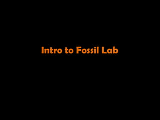Intro to Fossil Lab 