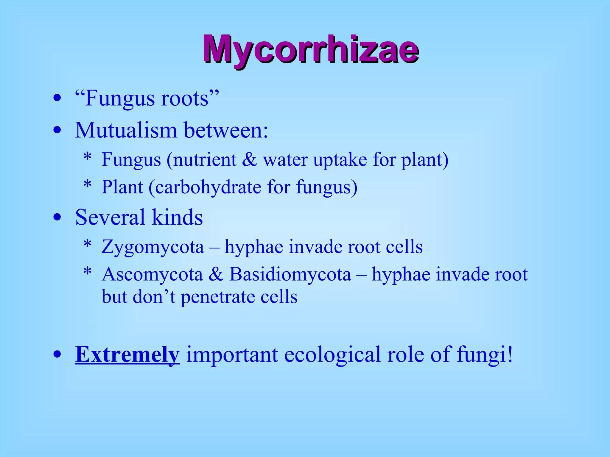Mycorrhizae “ Fungus roots” Mutualism between: Fungus (nutrient & water uptake for plant) Plant (carbohydrate for fungus) Several kinds Zygomycota – hyphae invade root cells Ascomycota & Basidiomycota – hyphae invade root but don’t penetrate cells Extremely  important ecological role of fungi! 