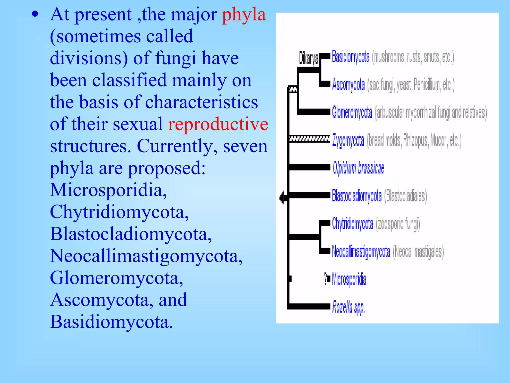 At present ,the major  phyla  (sometimes called divisions) of fungi have been classified mainly on the basis of characteristics of their sexual  reproductive  structures. Currently, seven phyla are proposed: Microsporidia, Chytridiomycota, Blastocladiomycota, Neocallimastigomycota, Glomeromycota, Ascomycota, and Basidiomycota. 