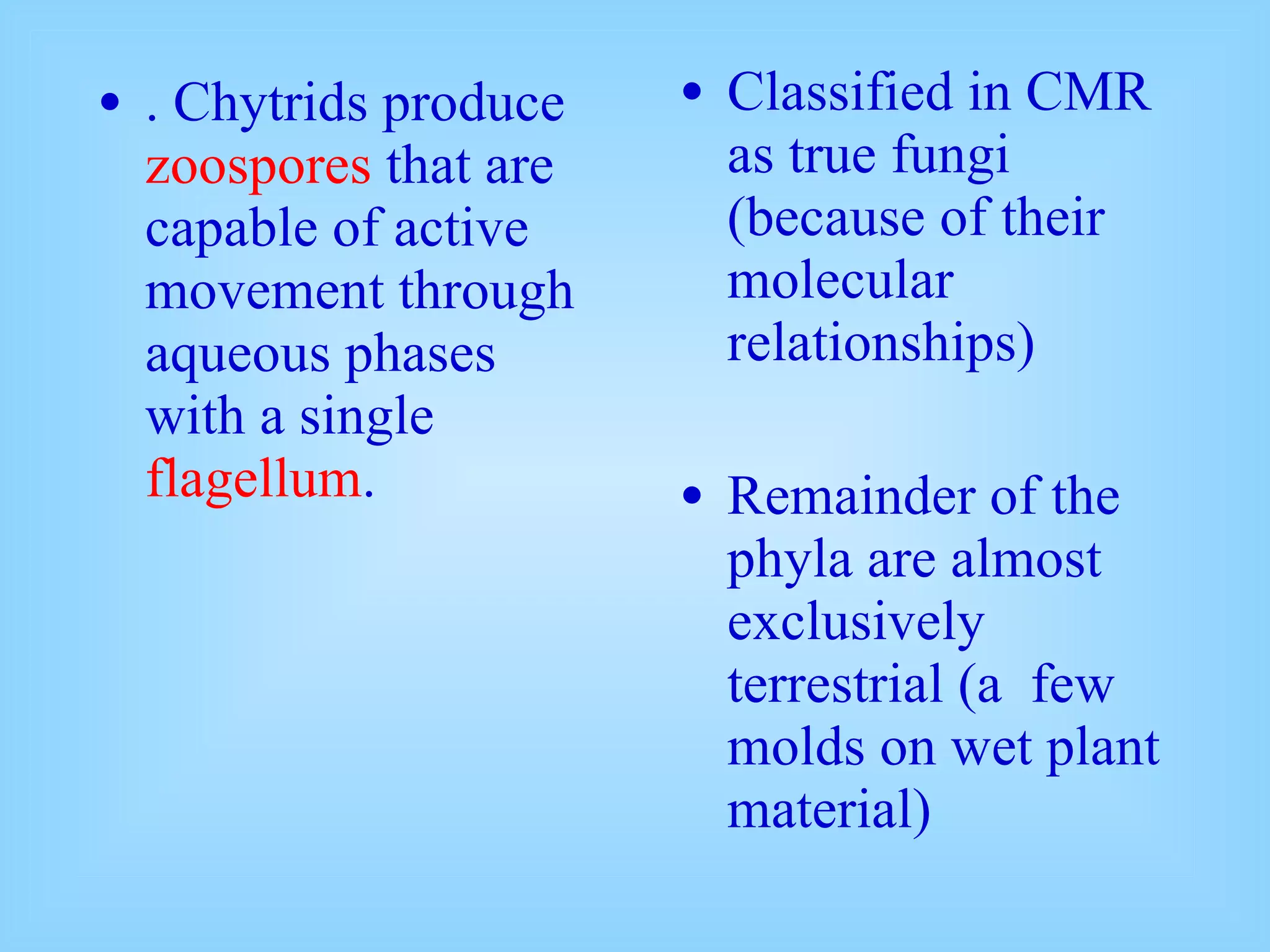 . Chytrids produce  zoospores  that are capable of active movement through aqueous phases with a single  flagellum . Classified in CMR as true fungi (because of their molecular relationships) Remainder of the phyla are almost exclusively terrestrial (a  few molds on wet plant material) 