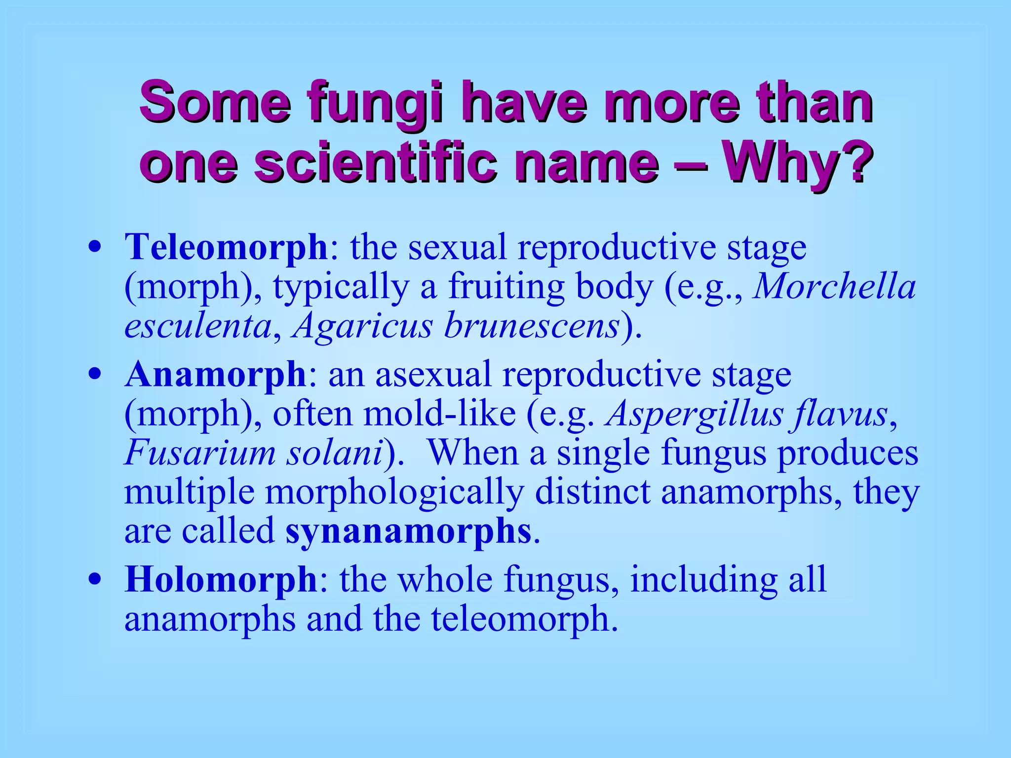 Some fungi have more than one scientific name – Why? Teleomorph : the sexual reproductive stage (morph), typically a fruiting body (e.g.,  Morchella esculenta ,  Agaricus brunescens ).  Anamorph : an asexual reproductive stage (morph), often mold-like (e.g.  Aspergillus flavus ,  Fusarium solani ).  When a single fungus produces multiple morphologically distinct anamorphs, they are called  synanamorphs .  Holomorph : the whole fungus, including all anamorphs and the teleomorph.  