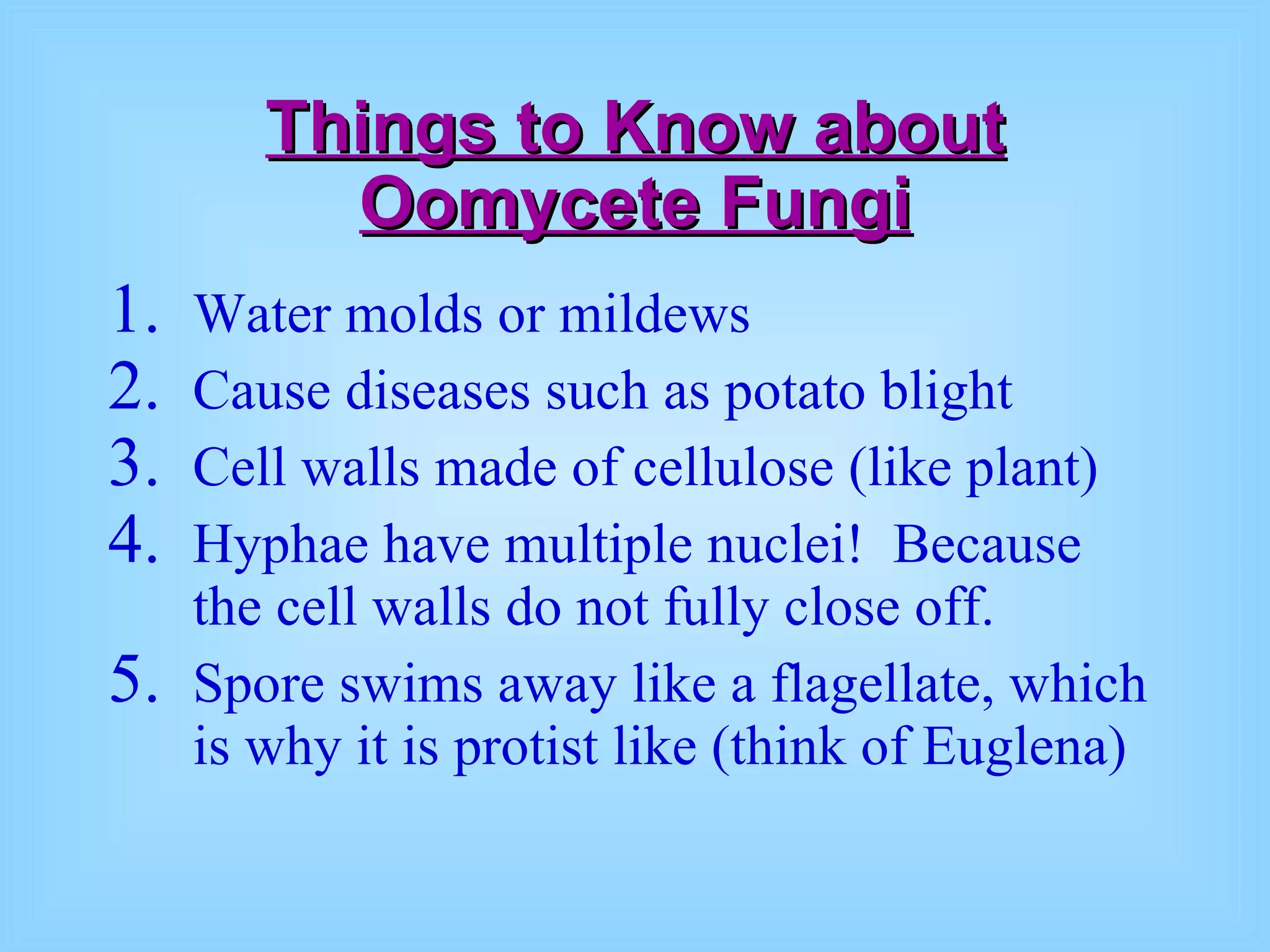 Things to Know about Oomycete Fungi Water molds or mildews Cause diseases such as potato blight Cell walls made of cellulose (like plant) Hyphae have multiple nuclei!  Because the cell walls do not fully close off. Spore swims away like a flagellate, which is why it is protist like (think of Euglena) 