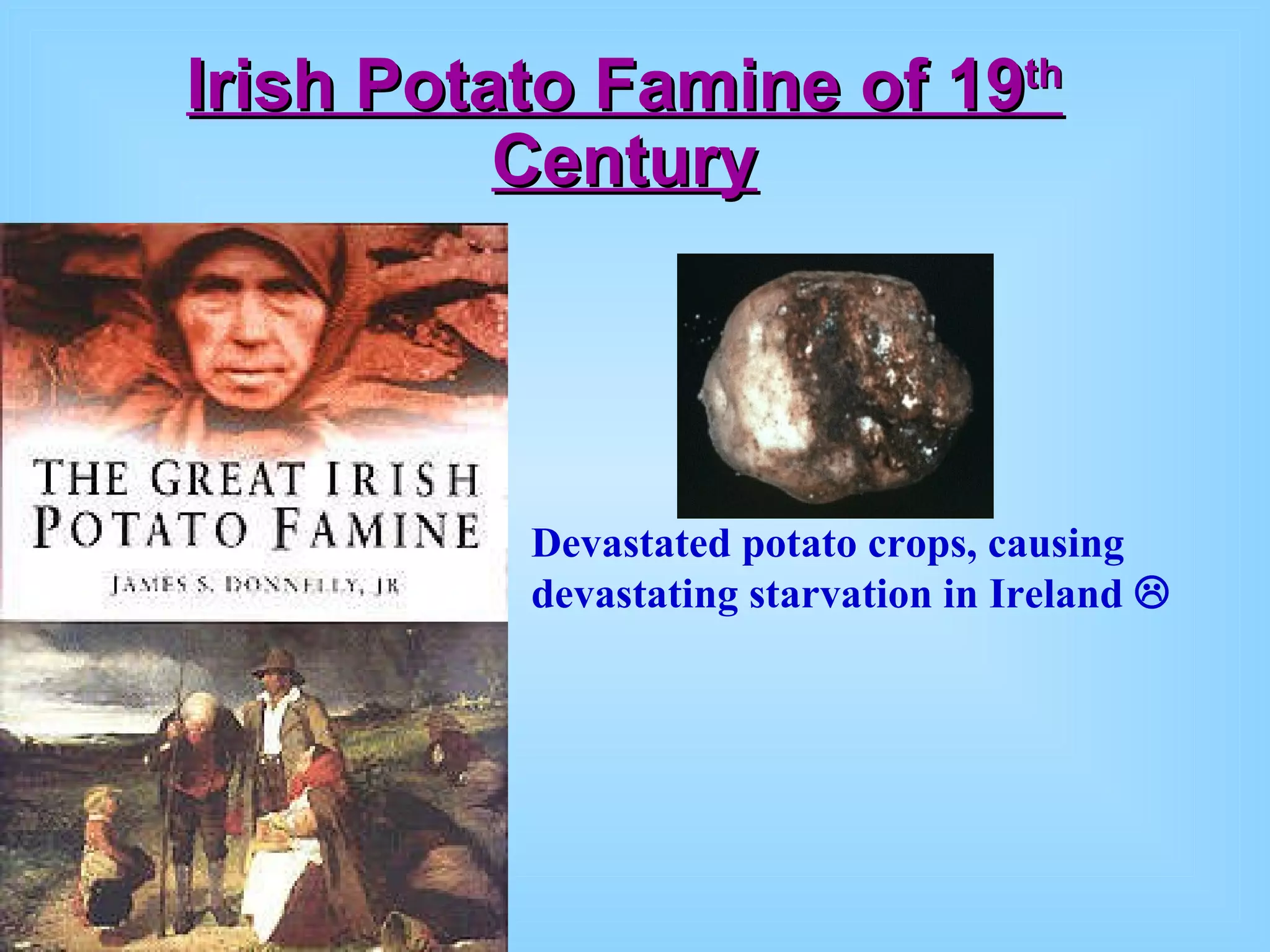 Irish Potato Famine of 19 th  Century Devastated potato crops, causing devastating starvation in Ireland   