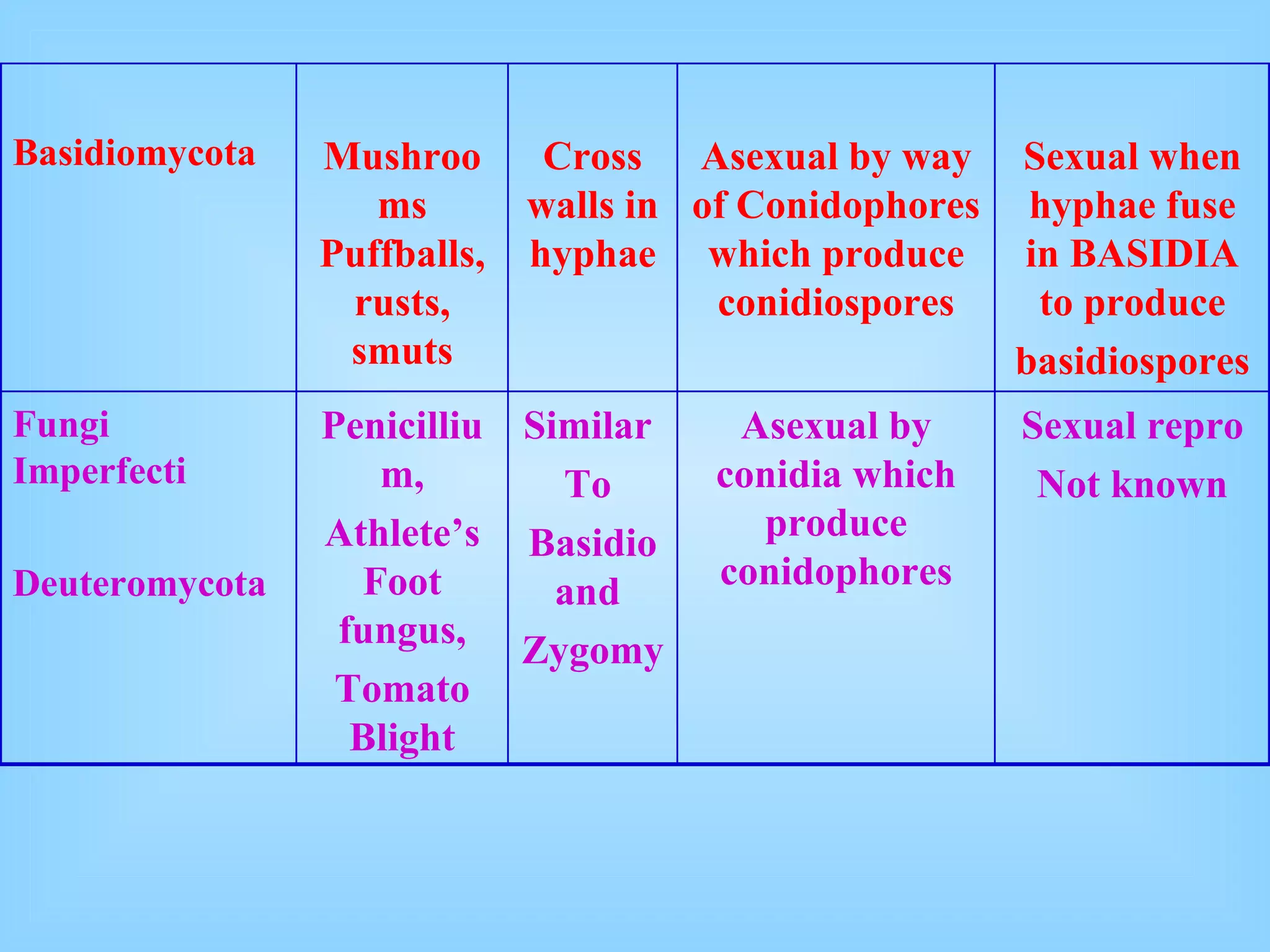 Basidiomycota Mushrooms Puffballs, rusts, smuts Cross walls in hyphae Asexual by way of Conidophores which produce conidiospores Sexual when hyphae fuse in BASIDIA to produce basidiospores Fungi Imperfecti Deuteromycota Penicillium, Athlete’s Foot fungus, Tomato Blight Similar  To  Basidio and  Zygomy Asexual by conidia which produce conidophores Sexual repro Not known 