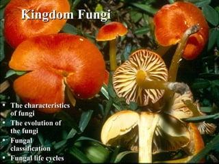 Kingdom FungiKingdom Fungi
• The characteristicsThe characteristics
of fungiof fungi
• The evolution ofThe evolution of
the fungithe fungi
• FungalFungal
classificationclassification
• Fungal life cyclesFungal life cycles
 