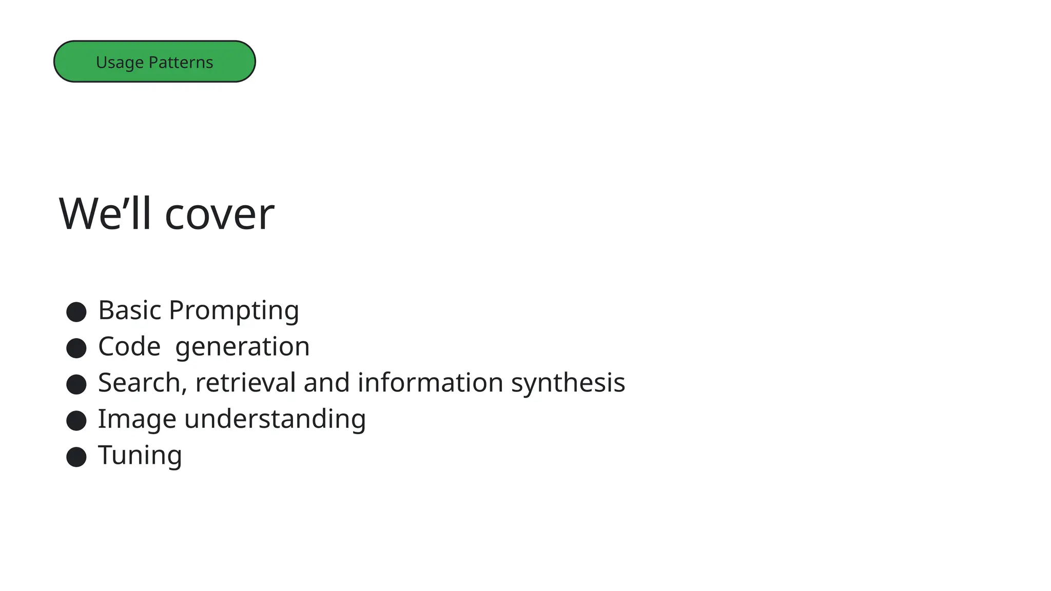 We’ll cover
● Basic Prompting
● Code generation
● Search, retrieval and information synthesis
● Image understanding
● Tuning
Usage Patterns
 