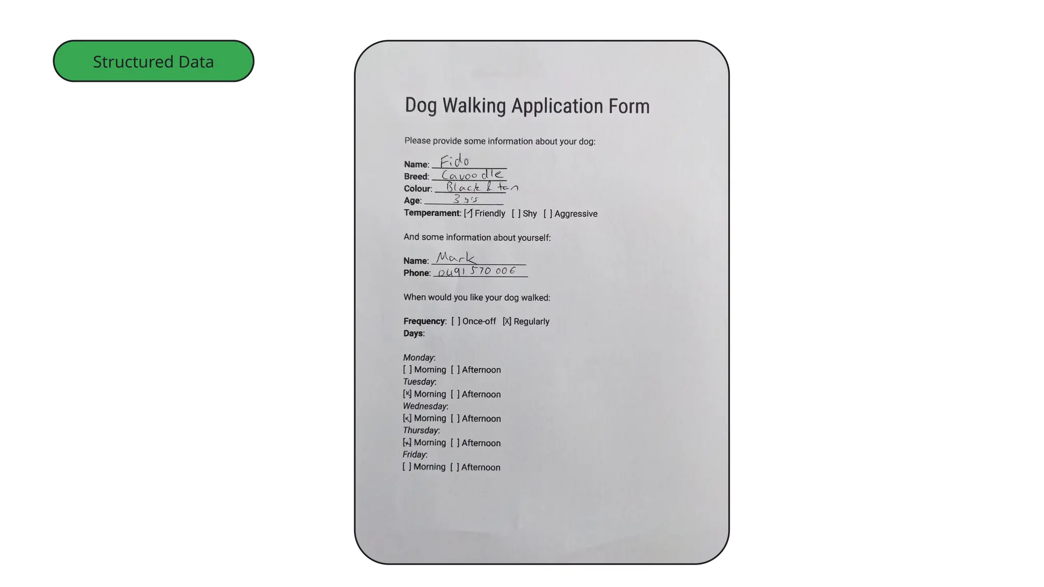AI Studio
Endpoints
Images
Structured Data
 