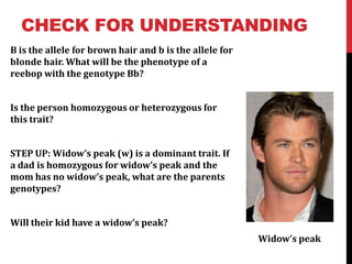 CHECK FOR UNDERSTANDING
B is the allele for brown hair and b is the allele for
blonde hair. What will be the phenotype of a
reebop with the genotype Bb?


Is the person homozygous or heterozygous for
this trait?


STEP UP: Widow’s peak (w) is a dominant trait. If
a dad is homozygous for widow’s peak and the
mom has no widow’s peak, what are the parents
genotypes?


Will their kid have a widow’s peak?
                                                         Widow’s peak
 
