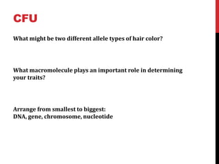 CFU
What might be two different allele types of hair color?




What macromolecule plays an important role in determining
your traits?




Arrange from smallest to biggest:
DNA, gene, chromosome, nucleotide
 