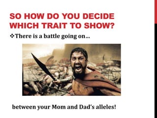 SO HOW DO YOU DECIDE
WHICH TRAIT TO SHOW?
There is a battle going on…




between your Mom and Dad’s alleles!
 