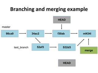 Branching and merging example
HEAD
f30ab34ac298ca9
52ef3 S32d3
mN34i
HEAD
master
test_branch
merge
 