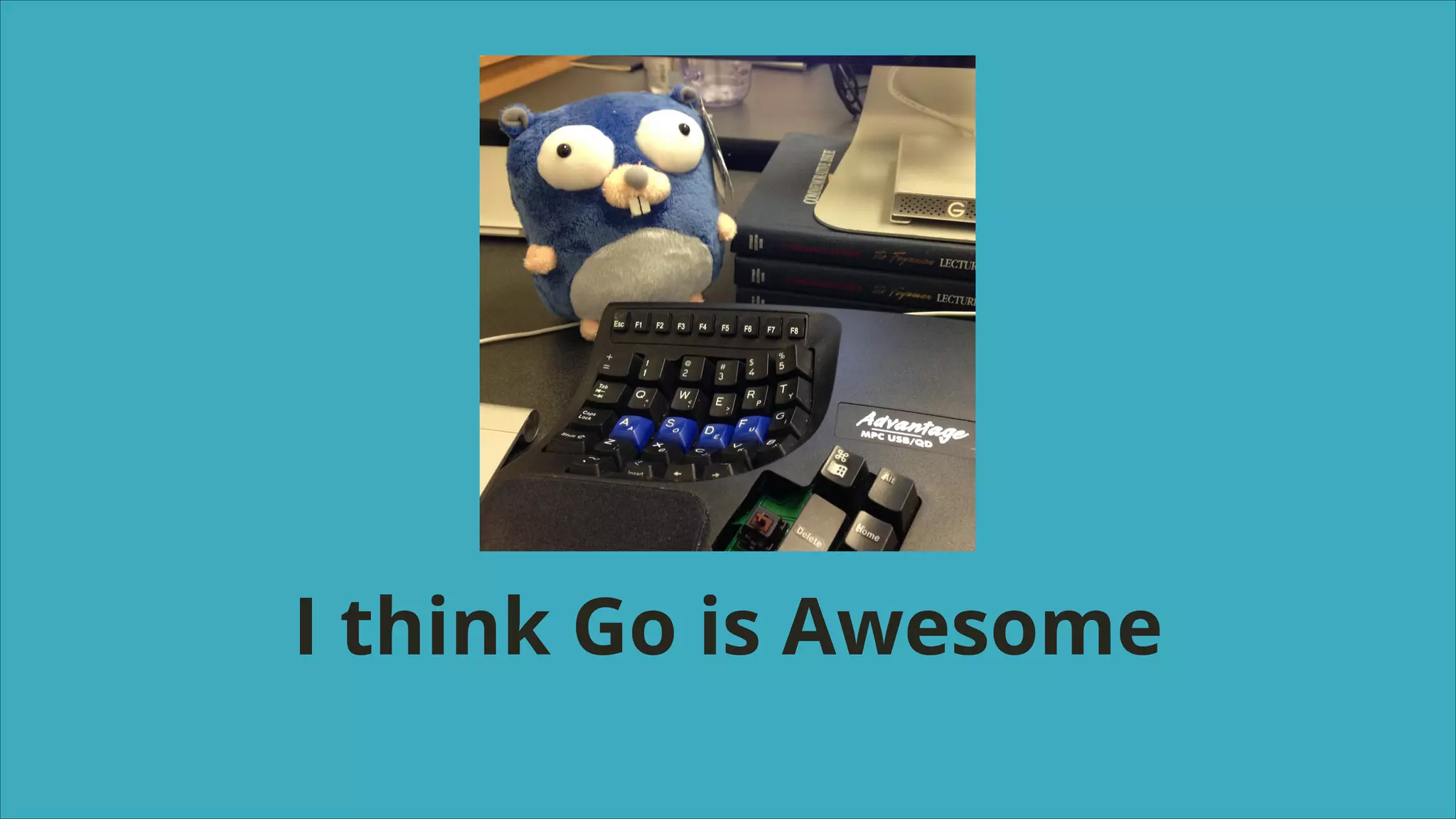 I think Go is Awesome

 