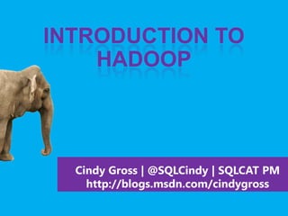 INTRODUCTION TO
    HADOOP



  Cindy Gross | @SQLCindy | SQLCAT PM
    http://blogs.msdn.com/cindygross
 