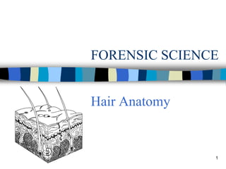 FORENSIC SCIENCE


Hair Anatomy


               1
 