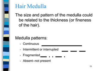 Introduction to hair