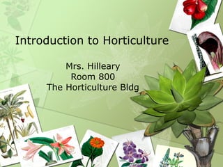 Introduction to Horticulture Mrs. Hilleary Room 800 The Horticulture Bldg 