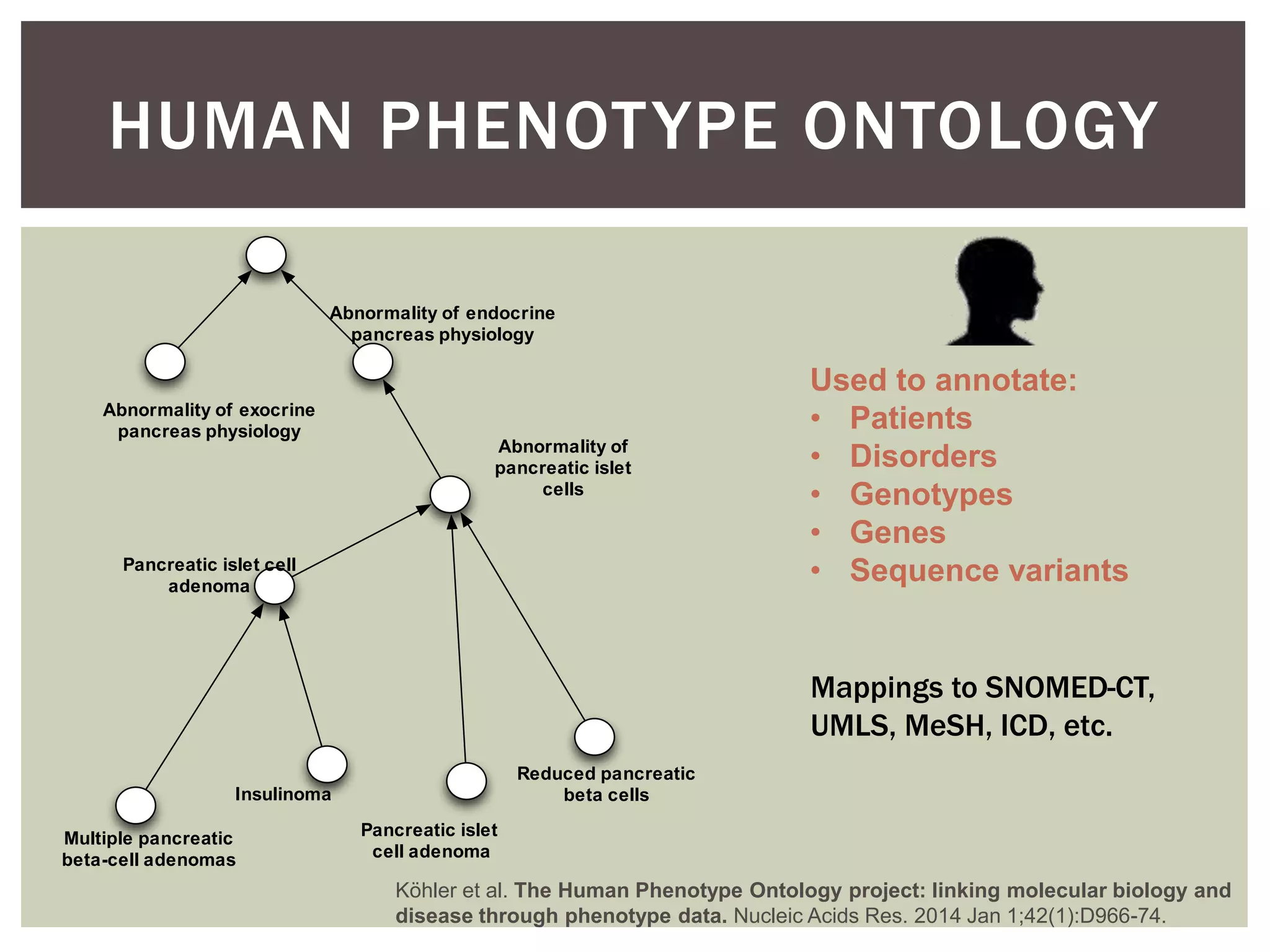 The Application of the Human Phenotype Ontology | PPTX