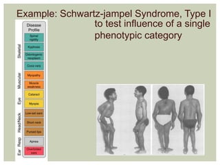 Example: Schwartz-jampel Syndrome, Type I 
to test influence of a single 
phenotypic category 
 