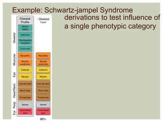 Example: Schwartz-jampel Syndrome 
derivations to test influence of 
a single phenotypic category 
 