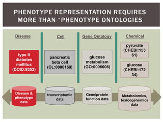 PHENOTYPE REPRESENTATION REQUIRES 
MORE THAN “PHENOT YPE ONTOLOGIES 
Disease Gene Ontology Chemical 
glucose 
metabolism 
...