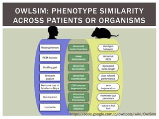 OWLSIM: PHENOTYPE SIMILARITY 
ACROSS PATIENTS OR ORGANISMS 
find 
Resting tremors 
REM disorder 
Shuffling gait 
Unstable ...