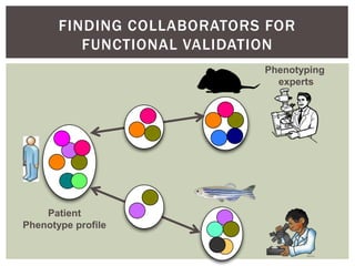 FINDING COLLABORATORS FOR 
FUNCTIONAL VALIDATION 
Patient 
Phenotype profile 
Phenotyping 
experts 
 