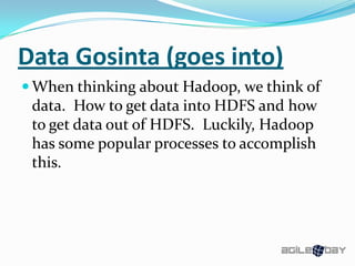 Data Gosinta (goes into)
 When thinking about Hadoop, we think of
data. How to get data into HDFS and how
to get data out of HDFS. Luckily, Hadoop
has some popular processes to accomplish
this.
 