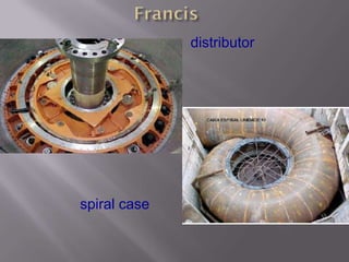 spiral case
distributor
 