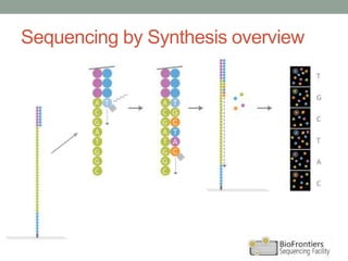 Sequencing by Synthesis overview
 