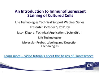 An Introduction to Immunofluorescent
                  Staining of Cultured Cells
           Life Technologies Technical Support Webinar Series
                      Presented October 5, 2011 by
            Jason Kilgore, Technical Applications Scientist II
                           Life Technologies
                Molecular Probes Labeling and Detection
                              Technologies


    Learn more – video tutorials about the basics of Fluorescence



1                                               2/23/2012 | Life Technologies™ Proprietary and confidential
 