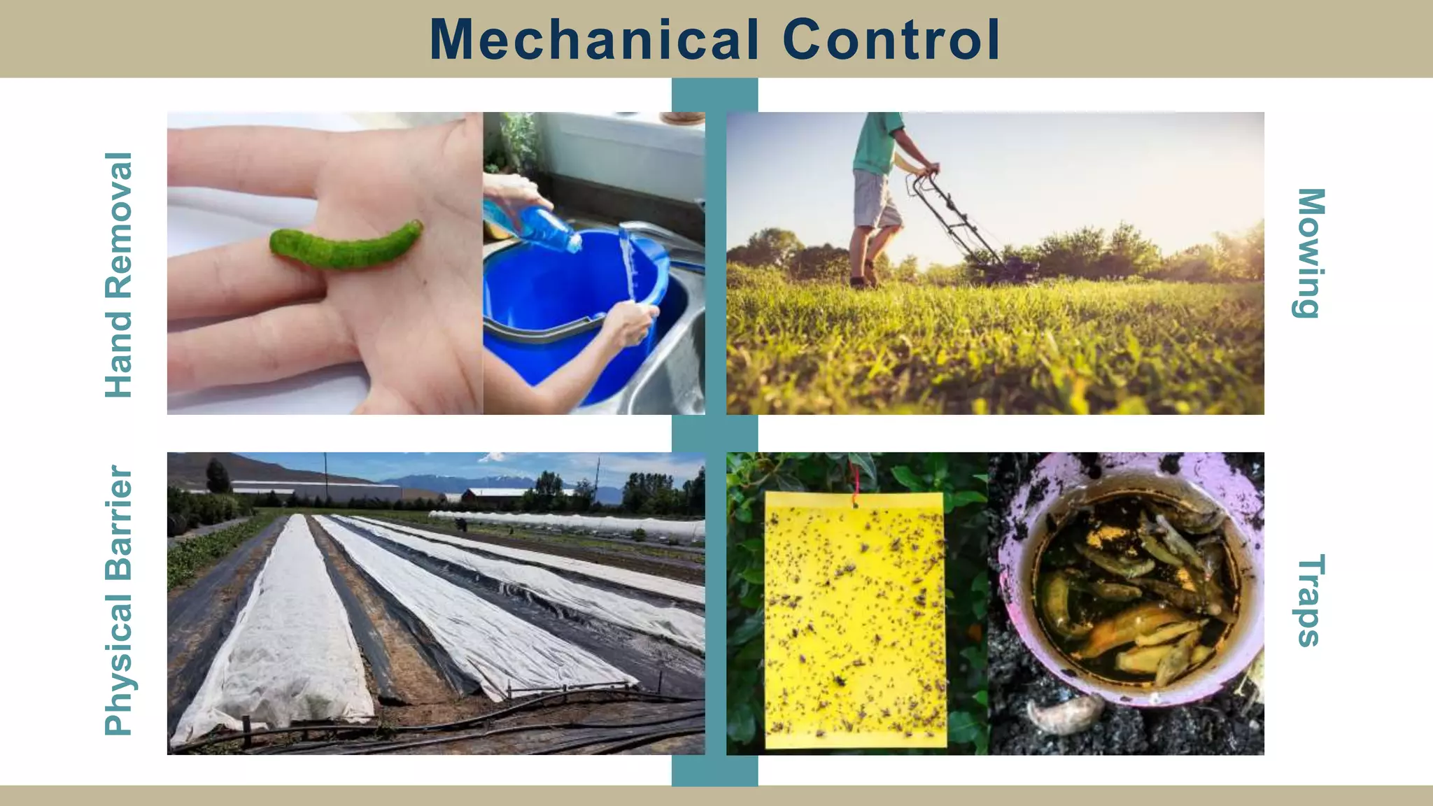 Mechanical Control
Hand
Removal
Physical
Barrier
Mowing
Traps
 