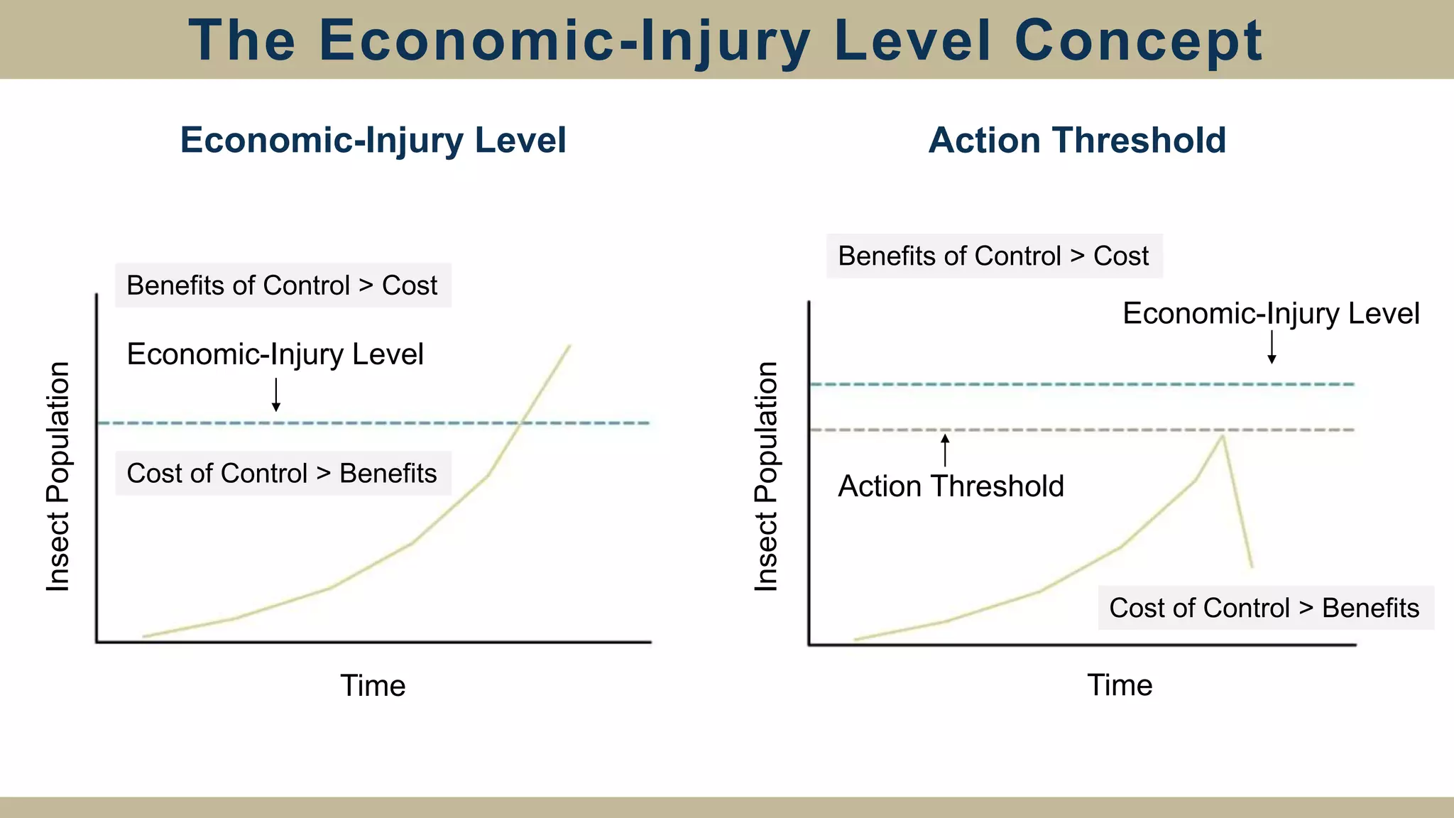 The Economic-Injury Level Concept
Time Time
Insect
Population
Insect
Population
Economic-Injury Level Action Threshold
Economic-Injury Level
Economic-Injury Level
Action Threshold
Benefits of Control > Cost
Cost of Control > Benefits
Benefits of Control > Cost
Cost of Control > Benefits
 