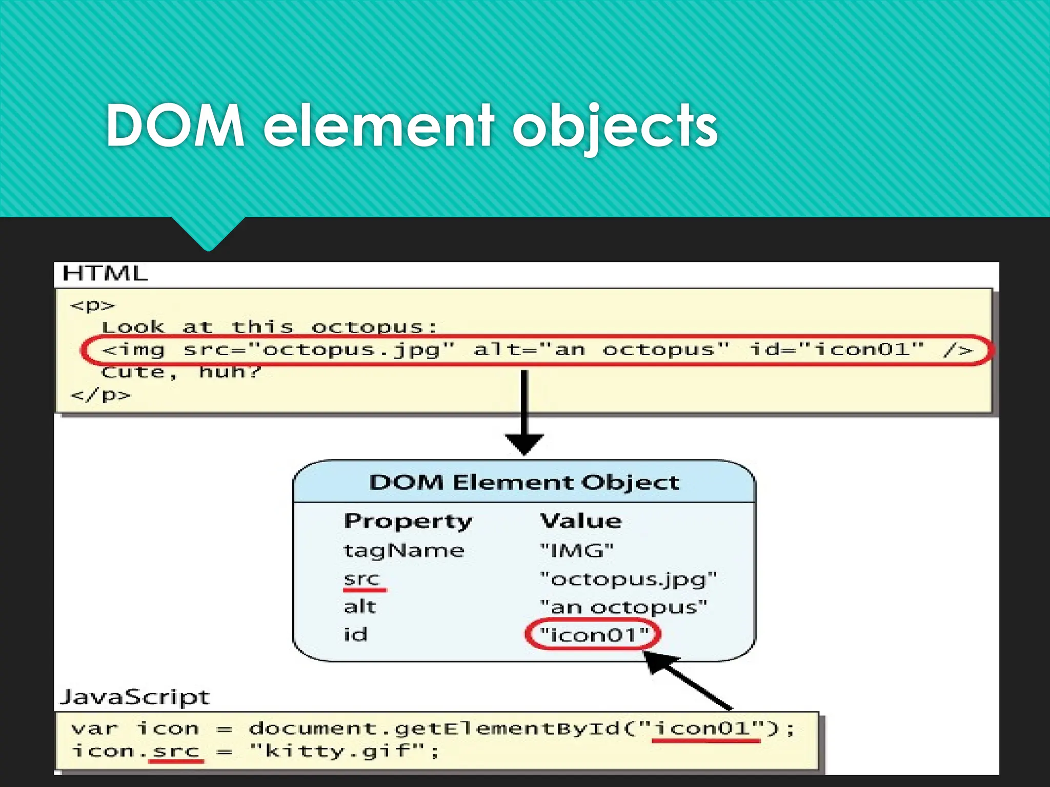 19
DOM element objects
 