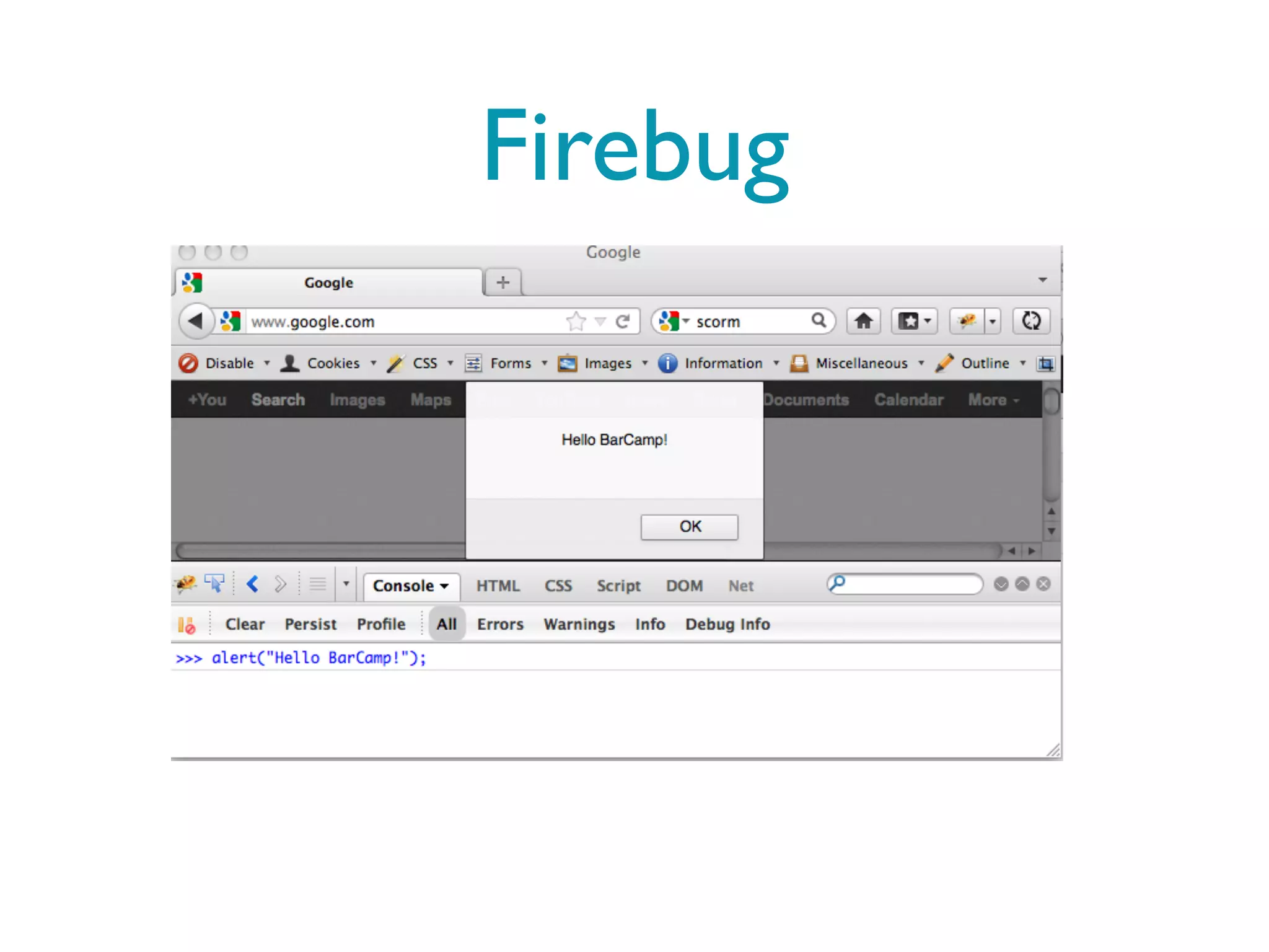 Firebug
 