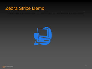 Zebra Stripe Demo 
46 
 