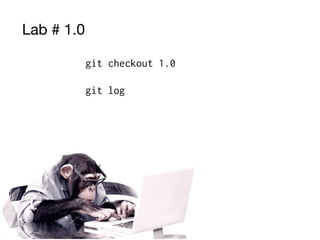 Lab # 1.0
git checkout 1.0
git log
 