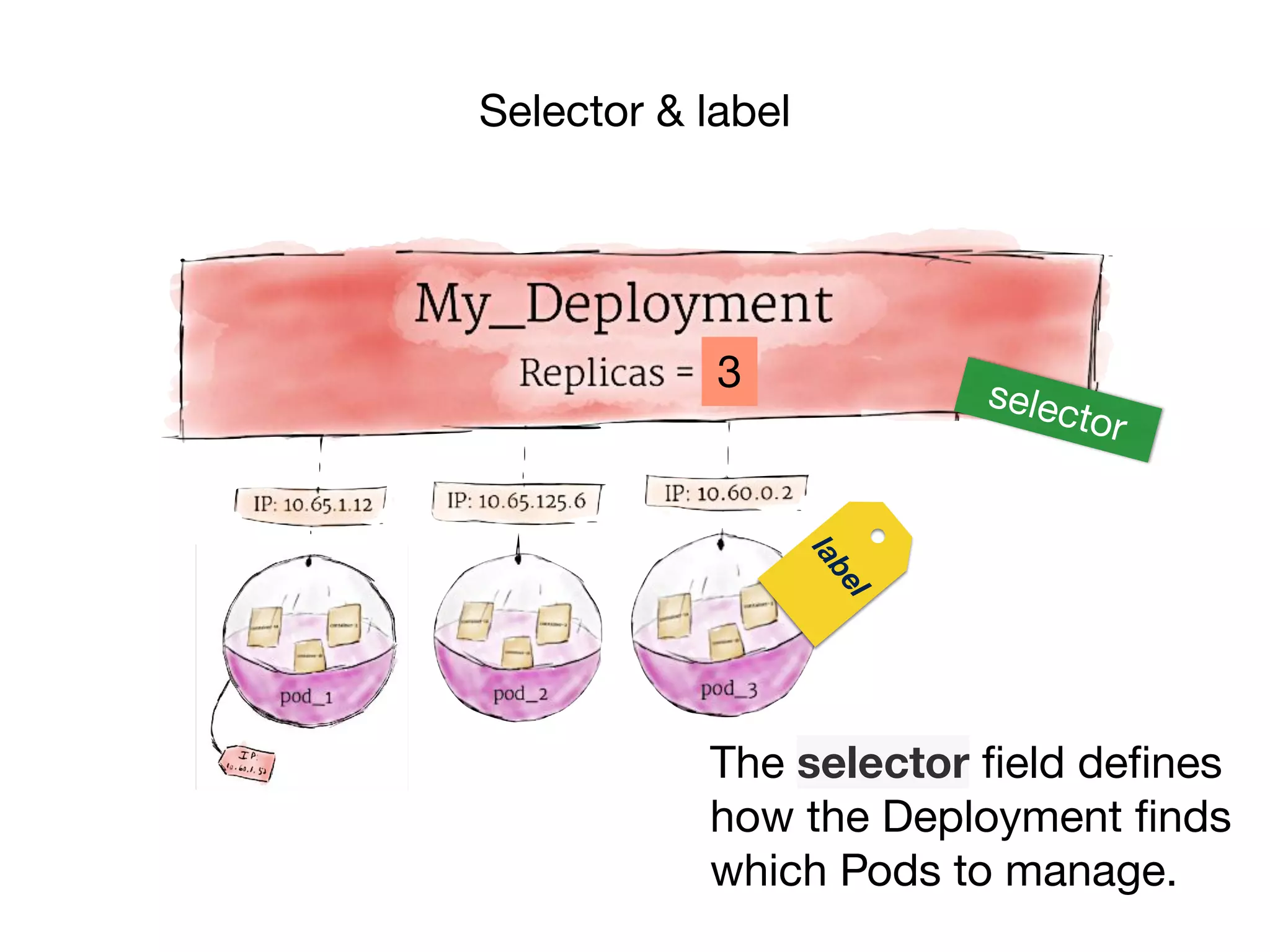Selector & label
3
The selector ﬁeld deﬁnes
how the Deployment ﬁnds
which Pods to manage.
label
selector
 