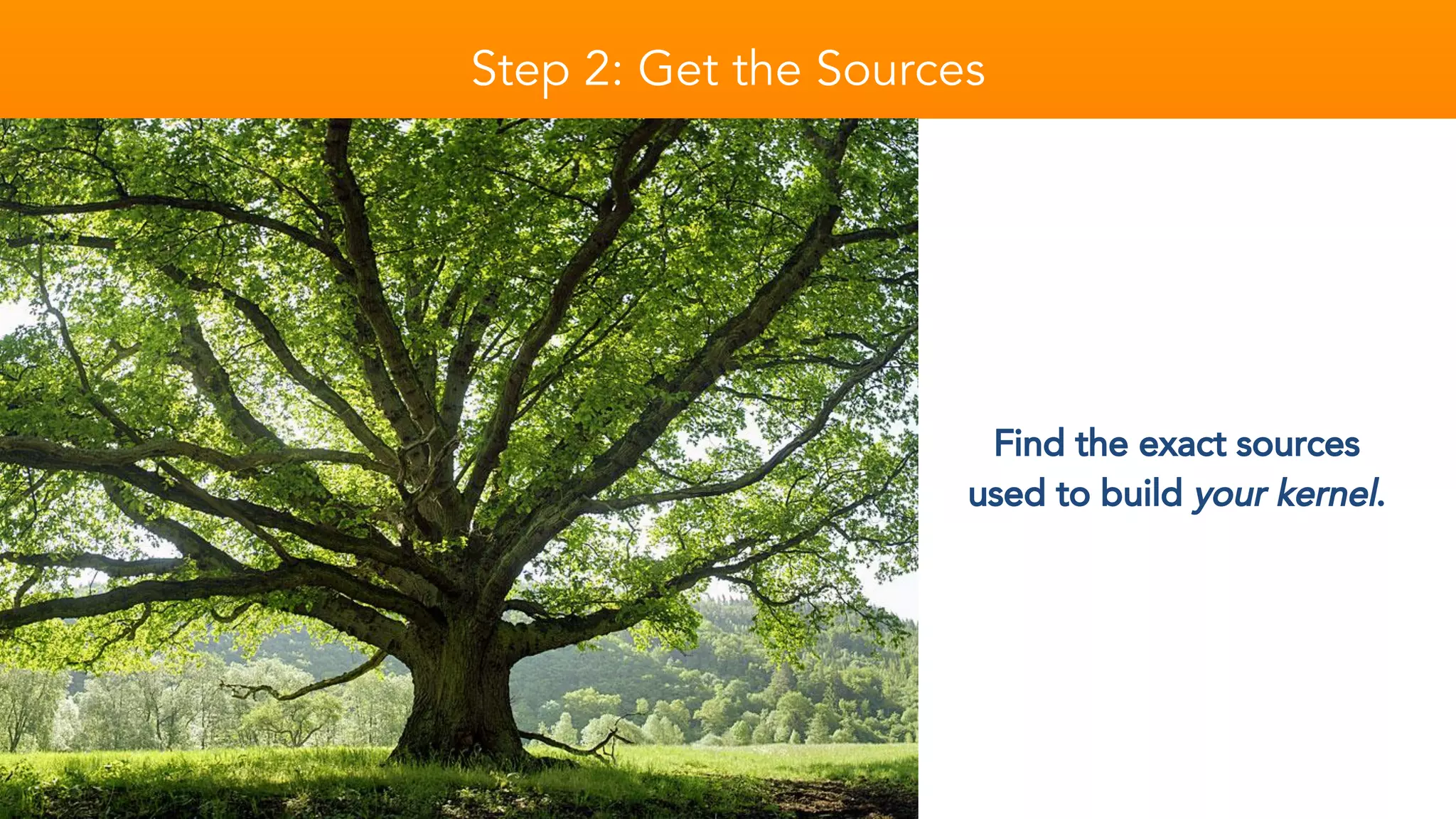 Step 2: Get the Sources
Find the exact sources
used to build your kernel.
 