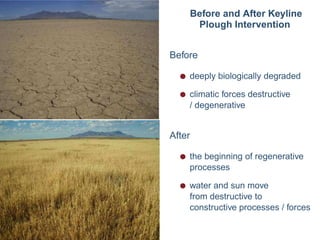 Before and After Keyline
       Plough Intervention


Before

  q   deeply biologically degraded

  q   climatic forces destructive
      / degenerative


After

  q   the beginning of regenerative
      processes

  q   water and sun move
      from destructive to
      constructive processes / forces
 