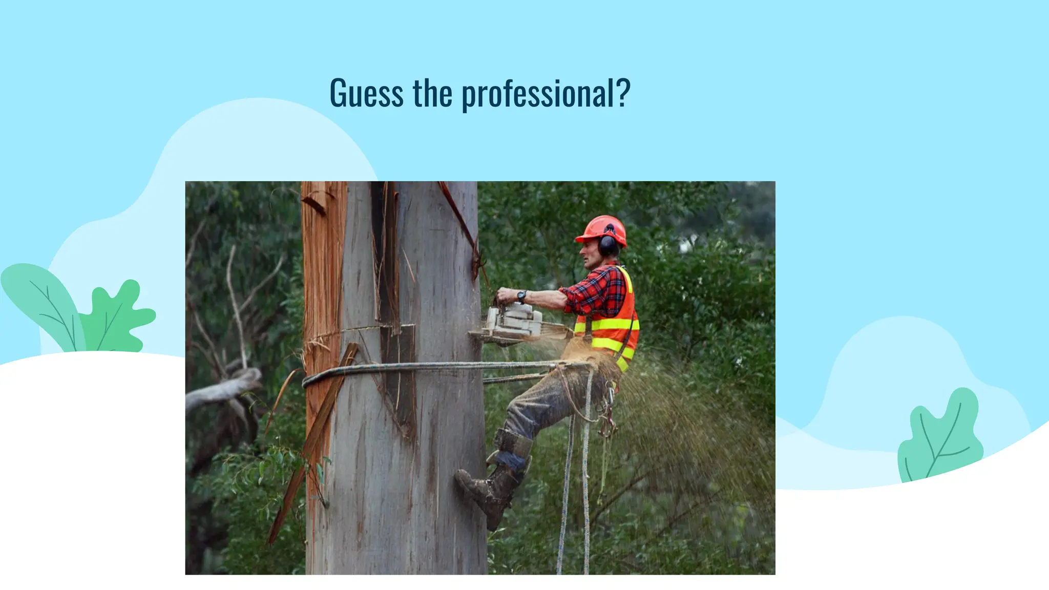 Guess the professional?
 