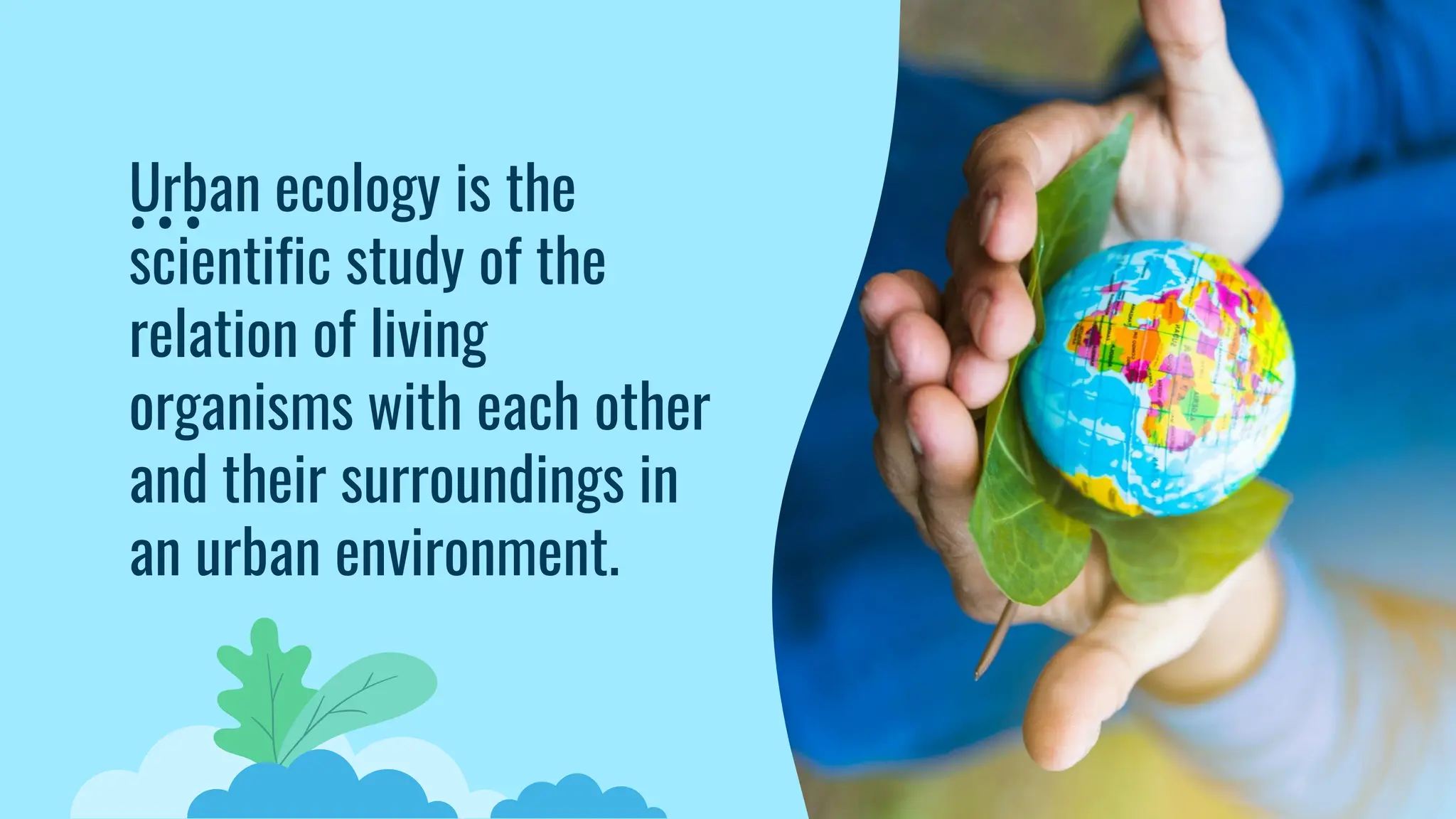 Urban ecology is the
scientific study of the
relation of living
organisms with each other
and their surroundings in
an urban environment.
 