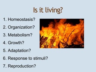 Is it living? 
1. Homeostasis? 
2. Organization? 
3. Metabolism? 
4. Growth? 
5. Adaptation? 
6. Response to stimuli? 
7. ...