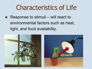 Characteristics of Life 
● Response to stimuli – will react to 
environmental factors such as heat, 
light, and food avail...