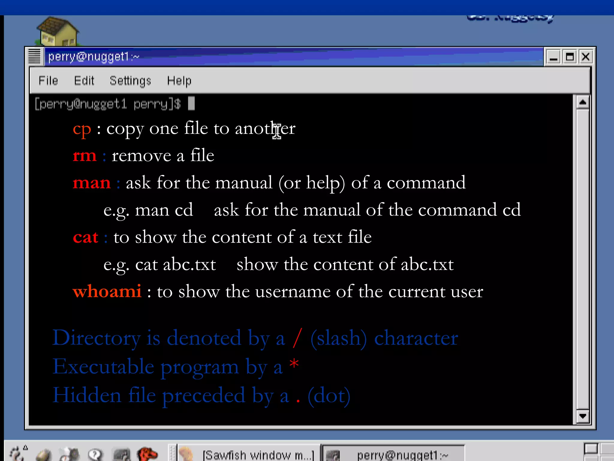 cp : copy one file to another
  rm : remove a file
  man : ask for the manual (or help) of a command
      e.g. man cd ask for the manual of the command cd
  cat : to show the content of a text file
      e.g. cat abc.txt show the content of abc.txt
  whoami : to show the username of the current user

Directory is denoted by a / (slash) character
Executable program by a *
Hidden file preceded by a . (dot)
 