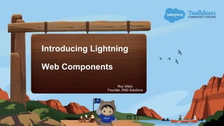Introducing Lightning
Web Components
Roy Gilad,
Founder, SND Solutions
 